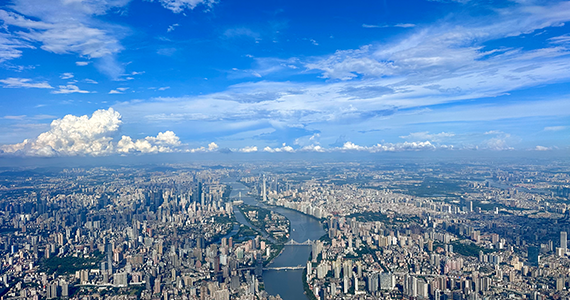 域名whois查询解释