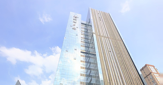 whois域名查询的内容