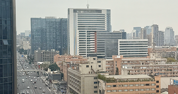 whois域名查询软件