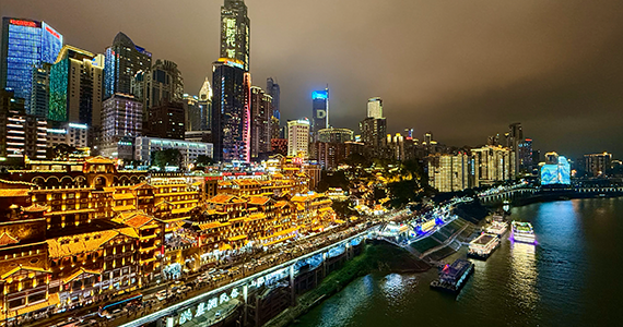 .tt域名whois查询