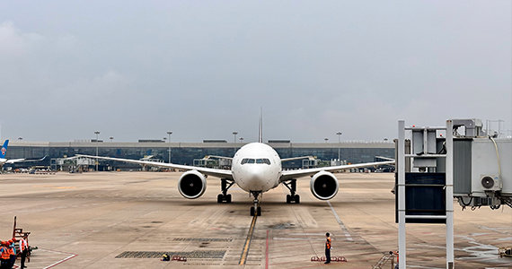 域名whois查询解析